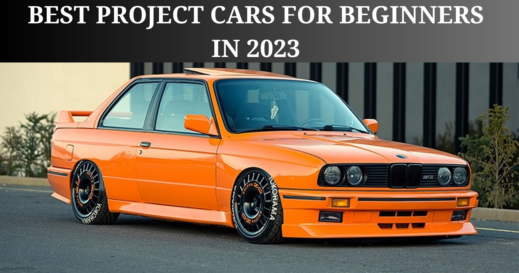 Read more about the article Discover the Best Project Cars for Beginners In 2023
